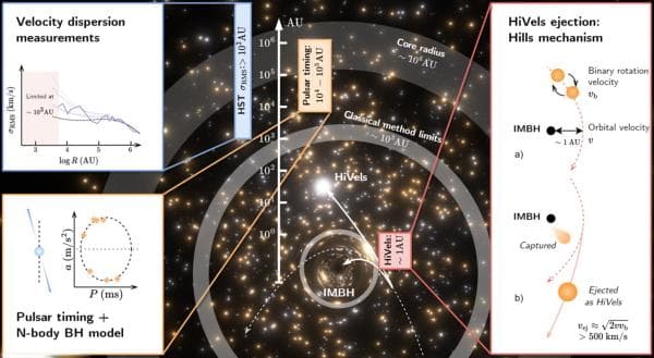 中国科学家首次发现中等质量黑洞直接证据，破解百年宇宙谜题