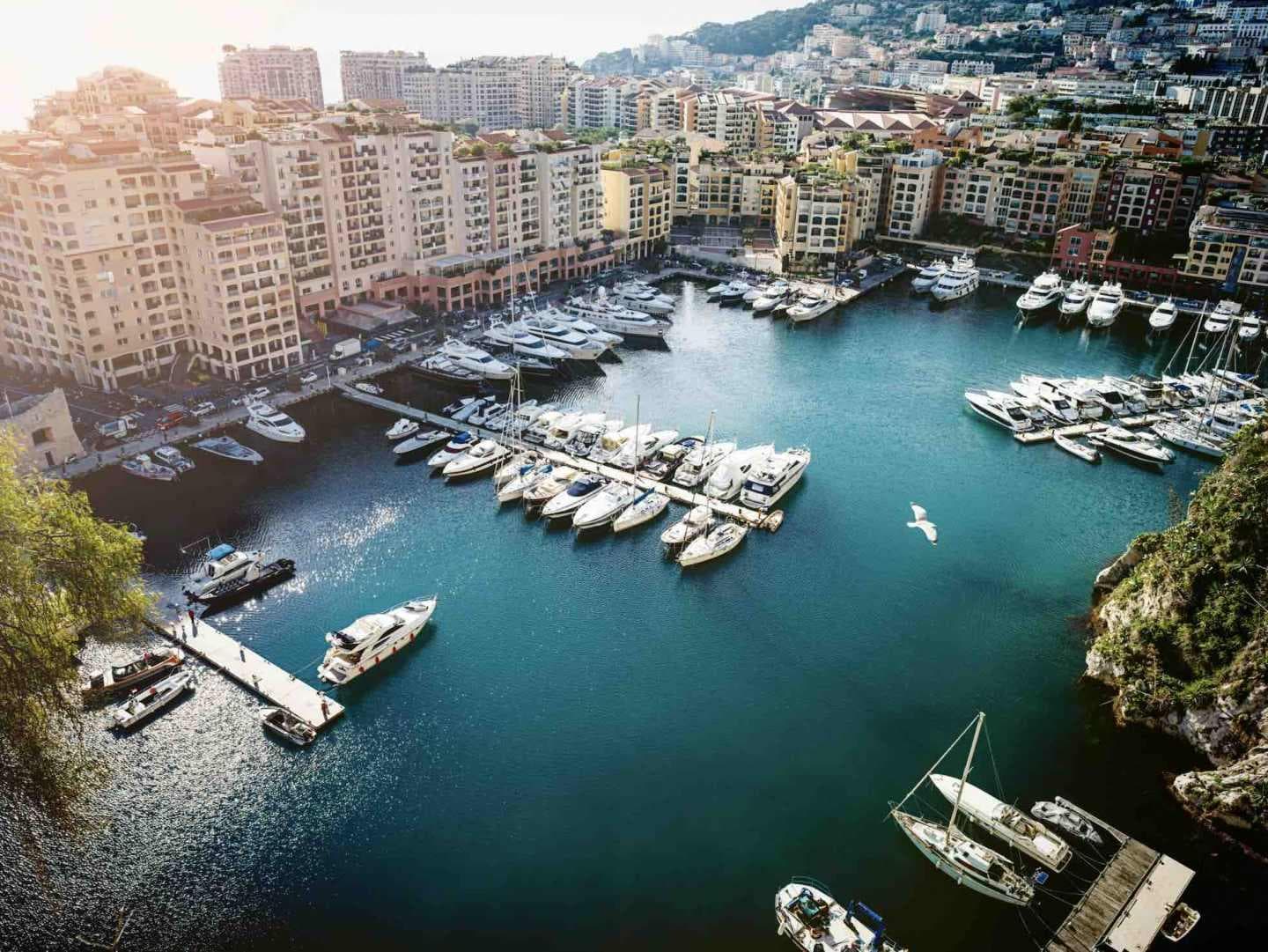 摩纳哥的市场研究