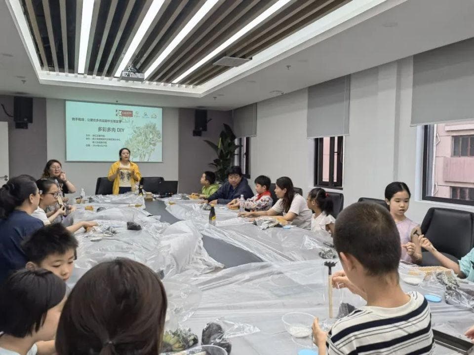 亲子携手DIY，“多肉宝宝”可爱又美观！