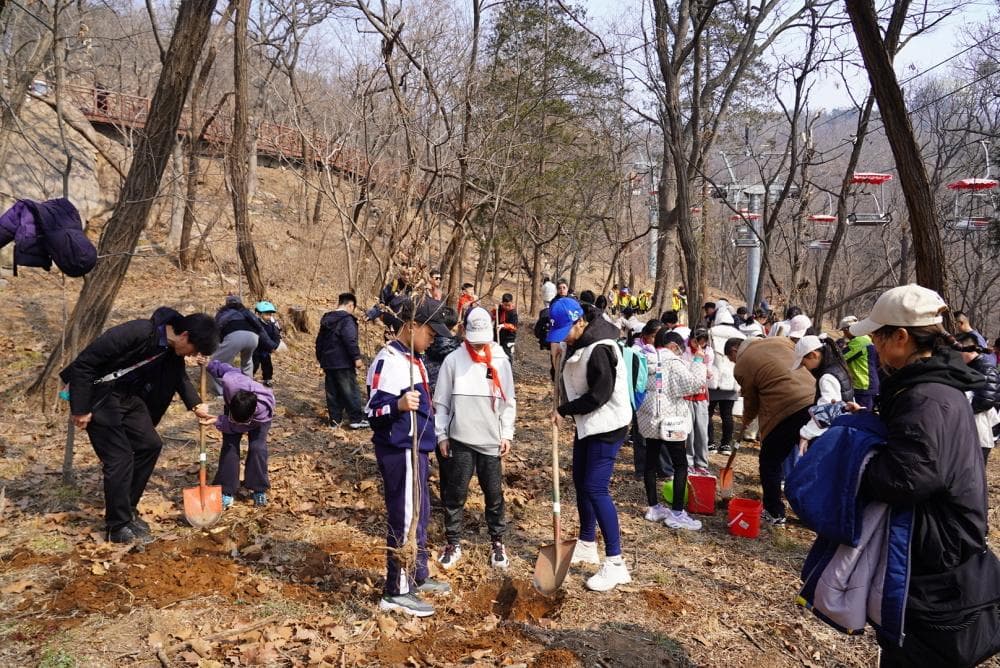 2025年青岛市互联网+全民义务植树公益盛典在太平山举行
