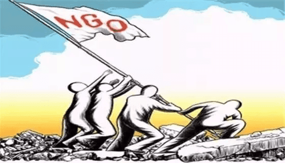 NGO、NPO是什么？有什么区别？
