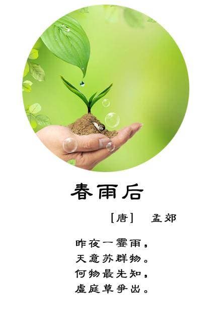 雨水诗词：古典文学中的雨韵之美