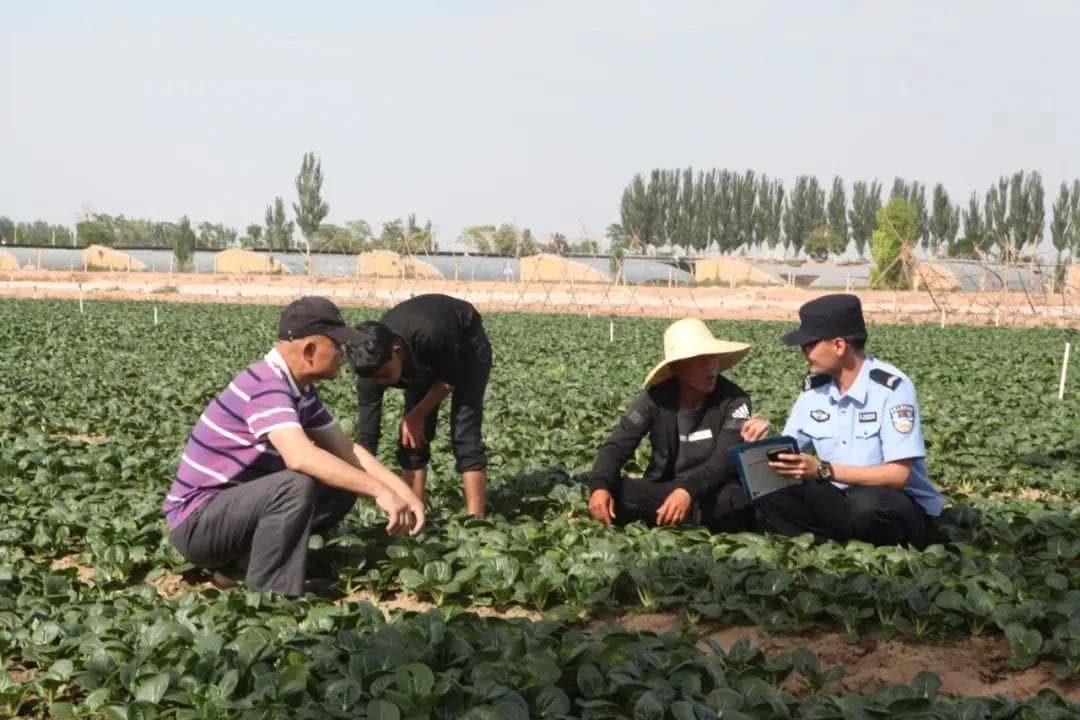 峡口派出所：“三+”举措提升流动人口管理质效