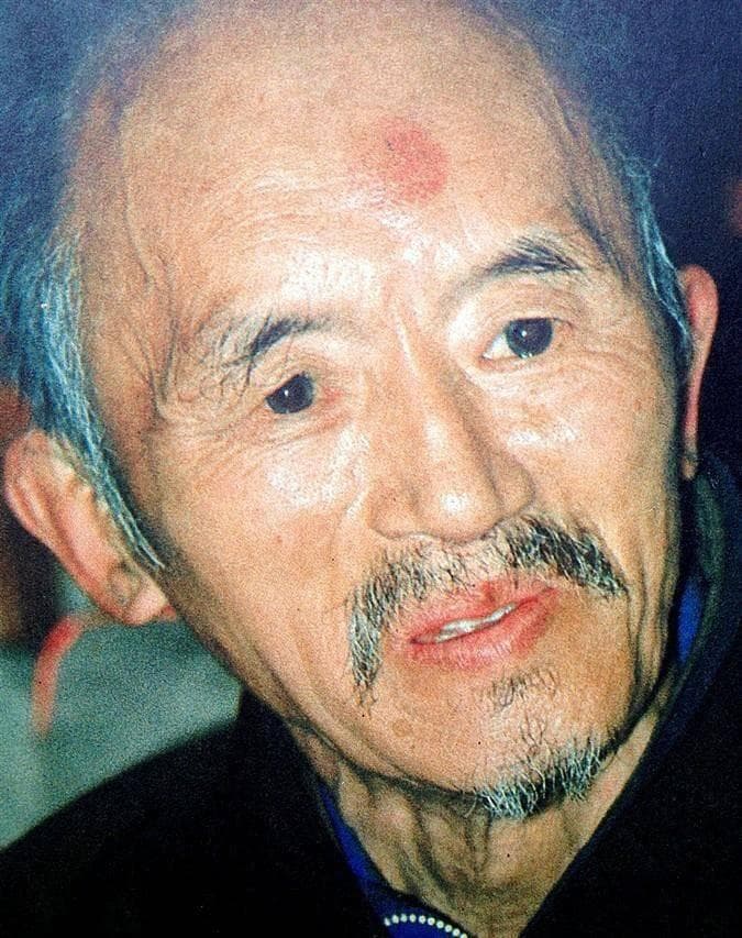 30年多前海灯法师是不是骗子？87岁圆寂时，少林寺无一人前来吊唁