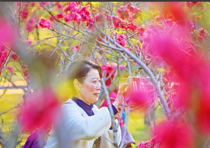 福地网评长辈“没苦硬吃”，晚辈应尊重、理解和沟通