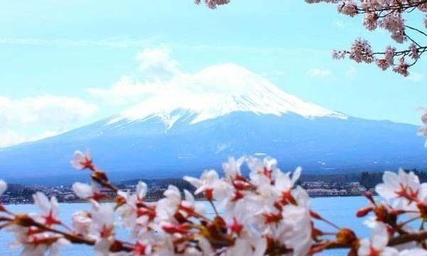 从东京到富士山：最方便的交通方式全攻略