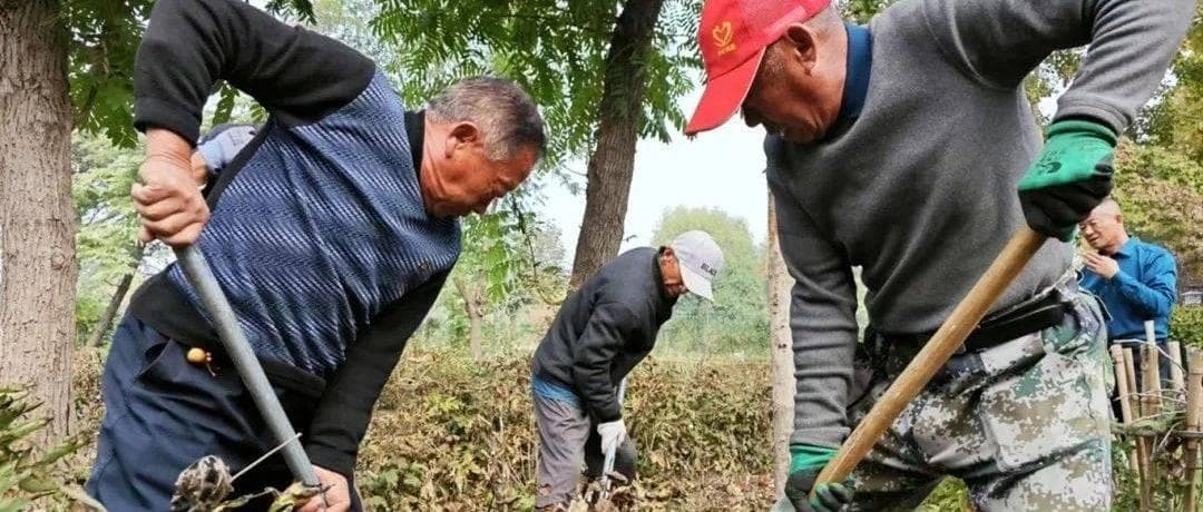 曹州牡丹园景区提升改造抢先看！明年花海更加壮观！