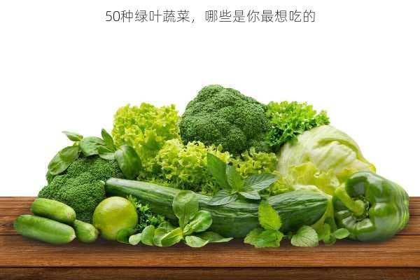 从选购到烹饪：50种常见绿叶蔬菜完全指南