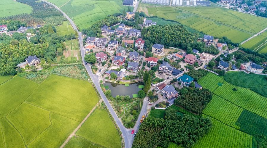 农民承包土地，享有哪些权利和义务？