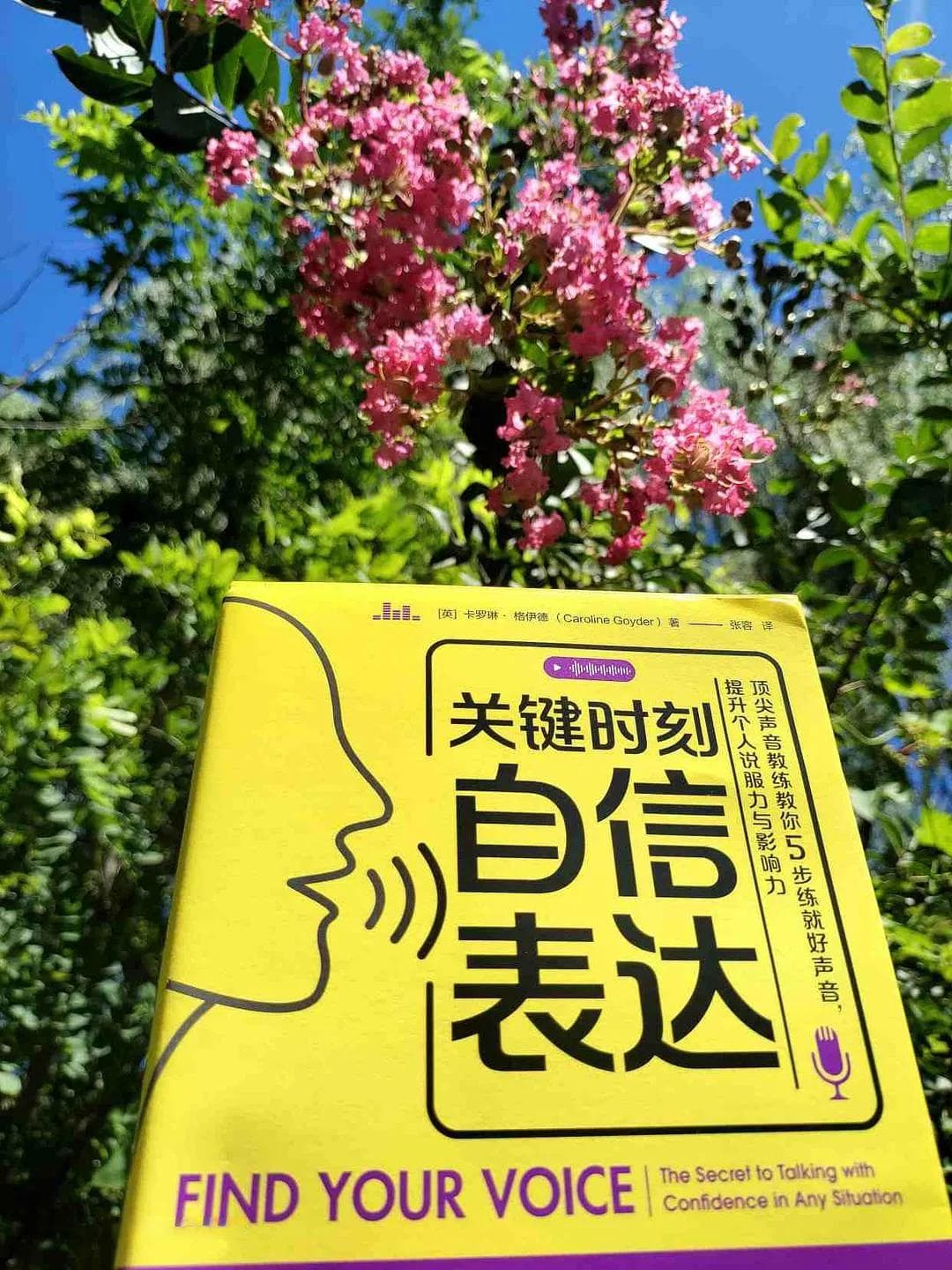 职场新秀必读：《关键时刻自信表达》，在人群中脱颖而出的秘诀