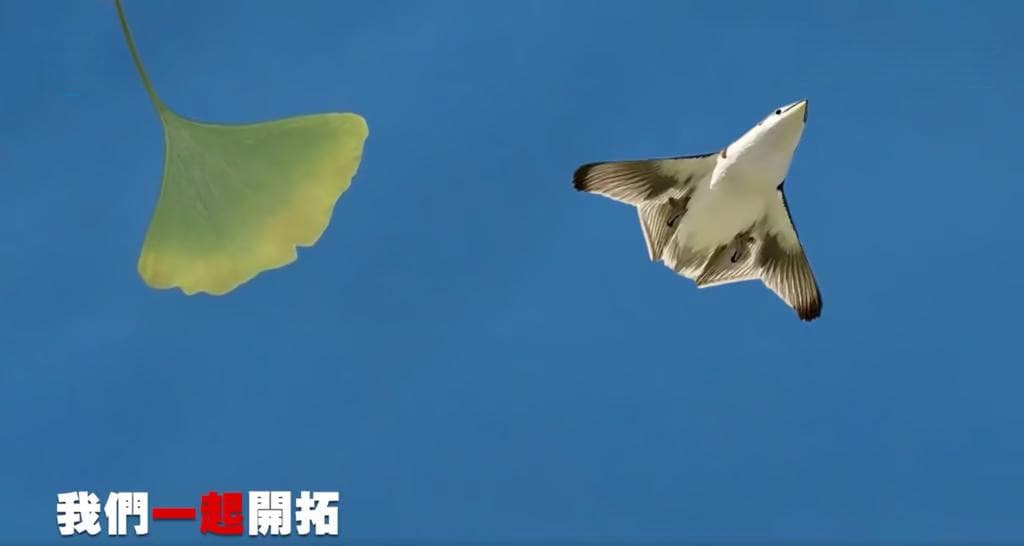 欧美军事专家热议中国新一代战机，认为可能将在未来空战中被委以重任