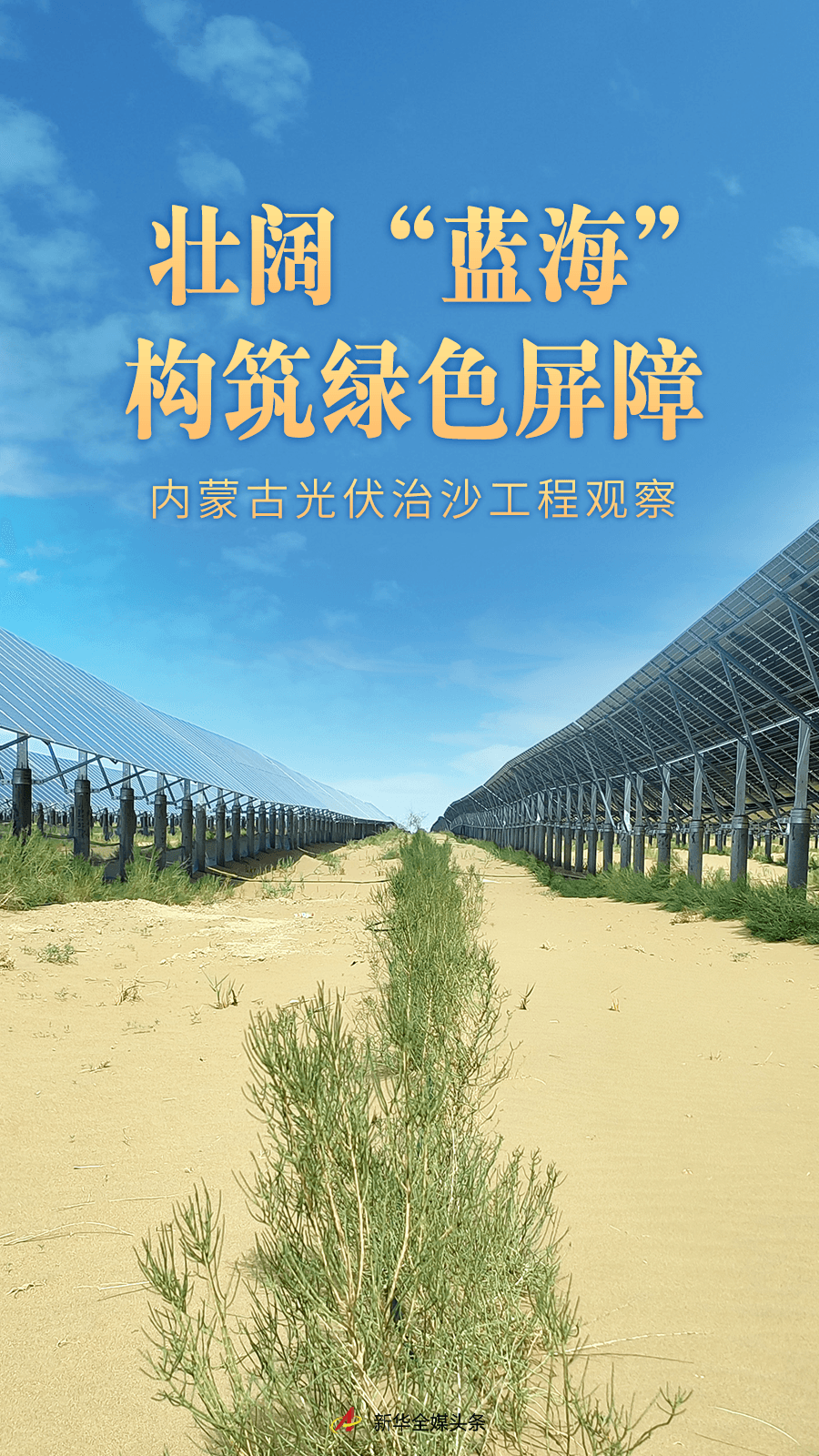 壮阔“蓝海”构筑绿色屏障——内蒙古光伏治沙工程观察