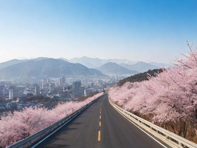 成都到攀枝花自驾攻略，解锁冬日暖阳路线与避坑指南
