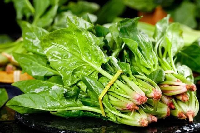 菠菜补铁还是致结石？科学解读菠菜的营养价值