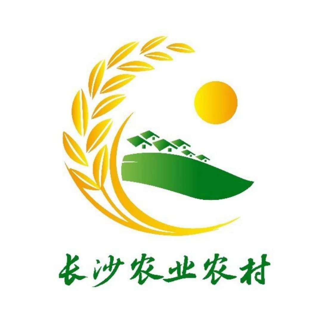 冬日访“古”丨解锁浏阳白沙古镇的四种玩法