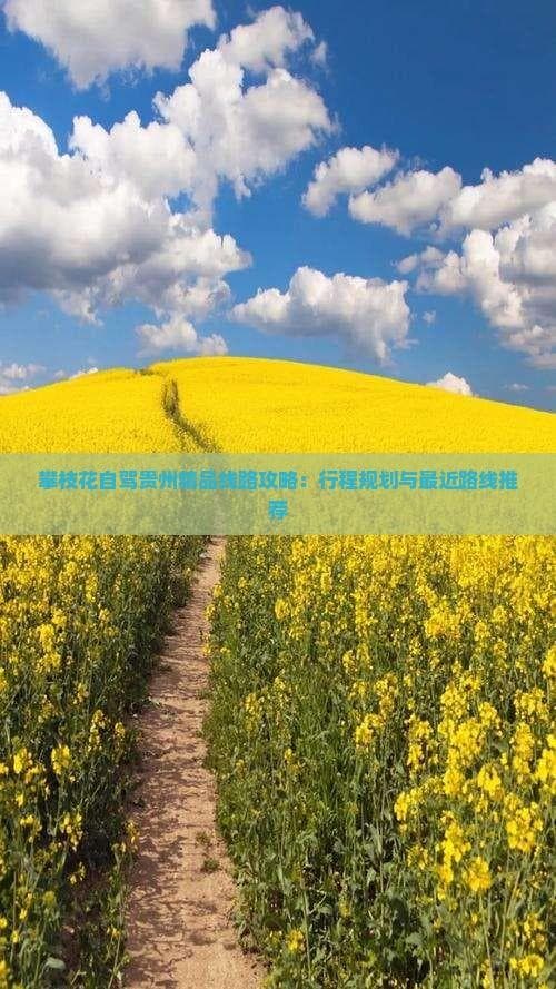 攀枝花自驾贵州精品线路攻略：行程规划与最近路线推荐
