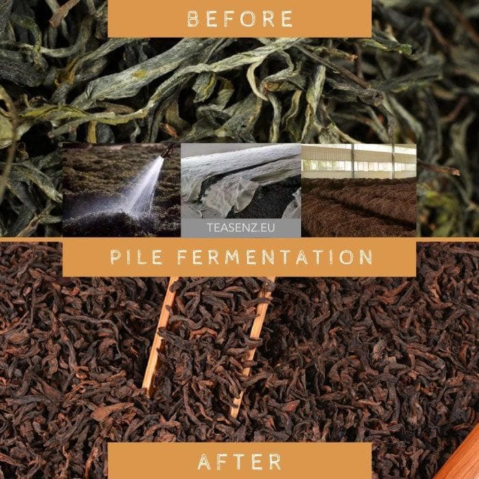 究竟什么是普洱茶？新手指南