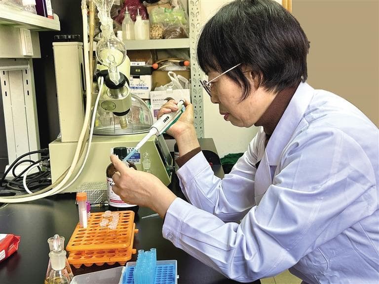 耕耘药海结硕果：记全国三八红旗手李彩东