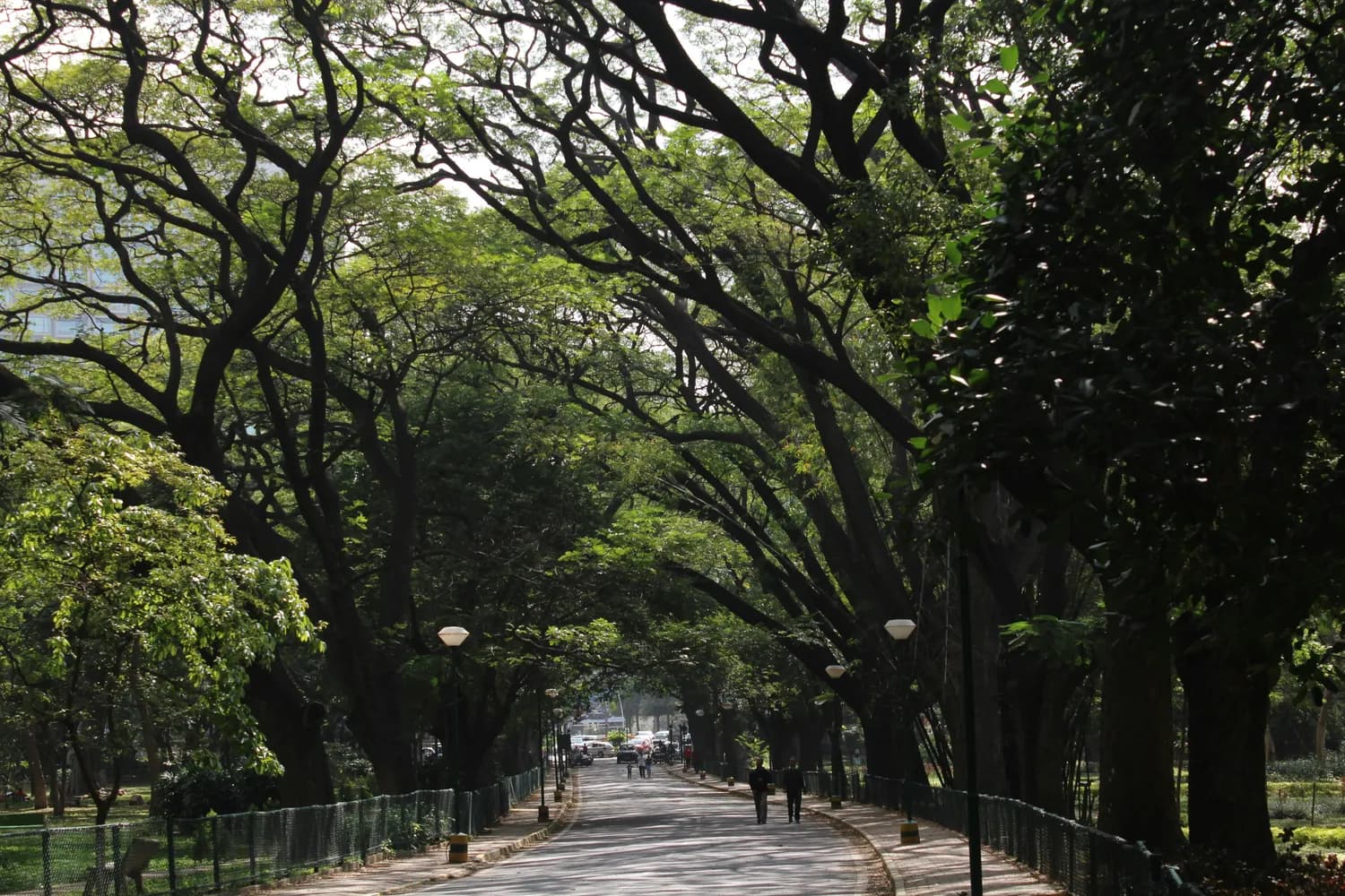 广州出行攻略：越秀公园到白云山最便捷路线