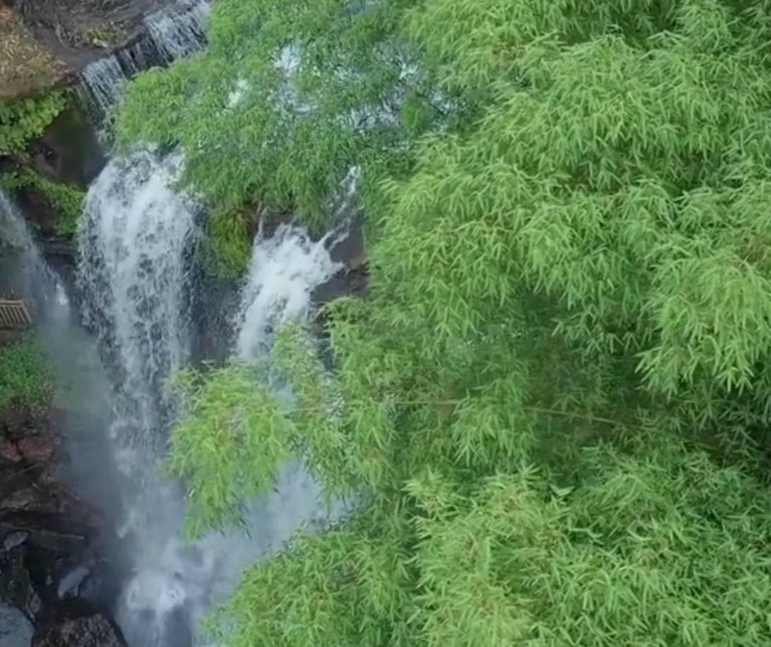 蜀南竹海深度游：忘忧谷、仙寓洞等7大景点全攻略