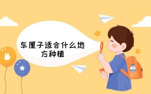 车厘子适合什么地方种植