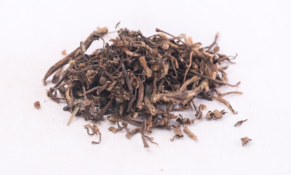 马齿苋的功效与作用及食用方法