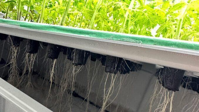 高压气雾栽培：一种节水高效的新型种植技术