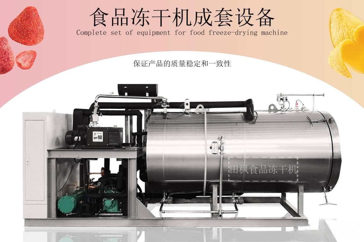 水果冻干机的工作原理与技术详解