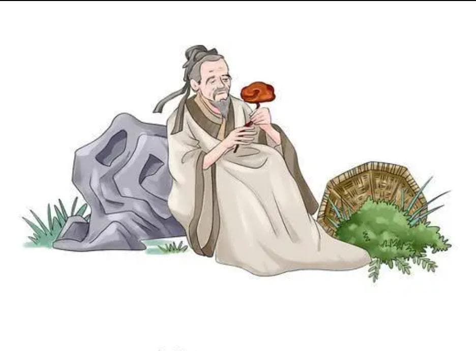 中医是如何通过中药来调整人体阴阳平衡的？