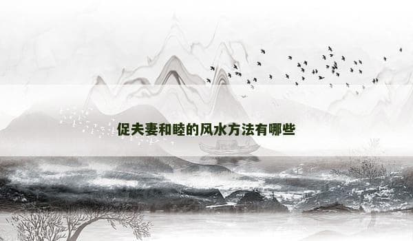 家居风水布局：促进夫妻和睦的实用指南