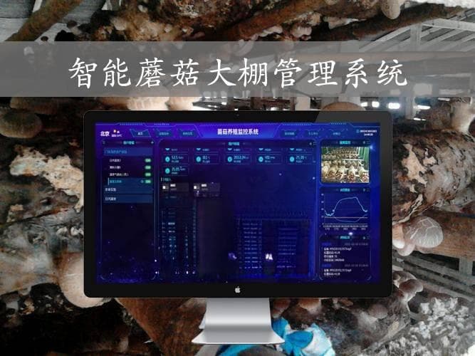 智能蘑菇大棚管理系统应用，打造自动控温控湿的数字型食用菌温室