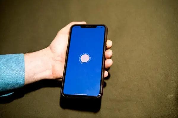 Signal为什么发不出去消息？