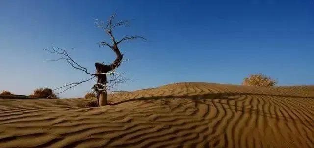 中国八大沙漠、四大沙地