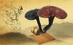 中医辨证口干口苦口干舌燥(口干症)