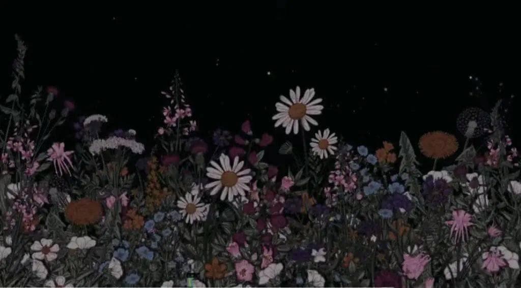“植物疗法”在沉浸式音乐冥想疗愈体验中的创新应用