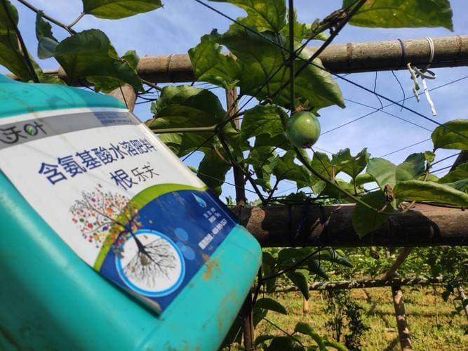 val氨基酸：揭秘其在生物体内的重要作用与功能