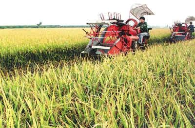 2008年全球粮价飞涨：原因、影响及中国对策