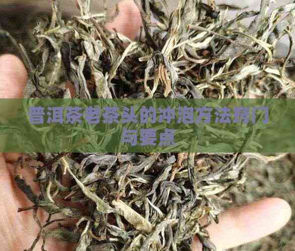 普洱茶养生