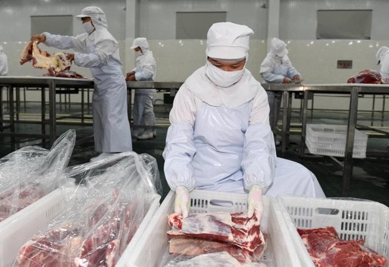 冷链运输牛肉要注意什么