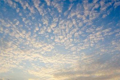 2025年正月初四财神方位,如何根据财神方位进行风水布局