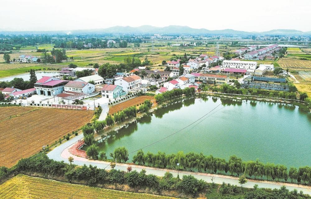 南漳县良种场村：“改”出乡村振兴新气象