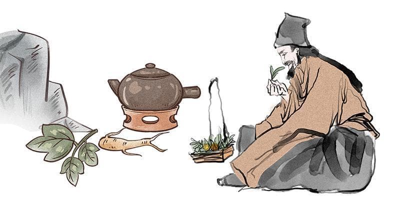 这份中药驱蚊秘方，请查收！