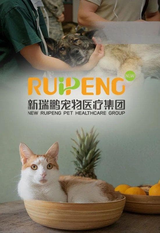 高压氧舱致人死亡4个月后，新瑞鹏IPO急刹车！