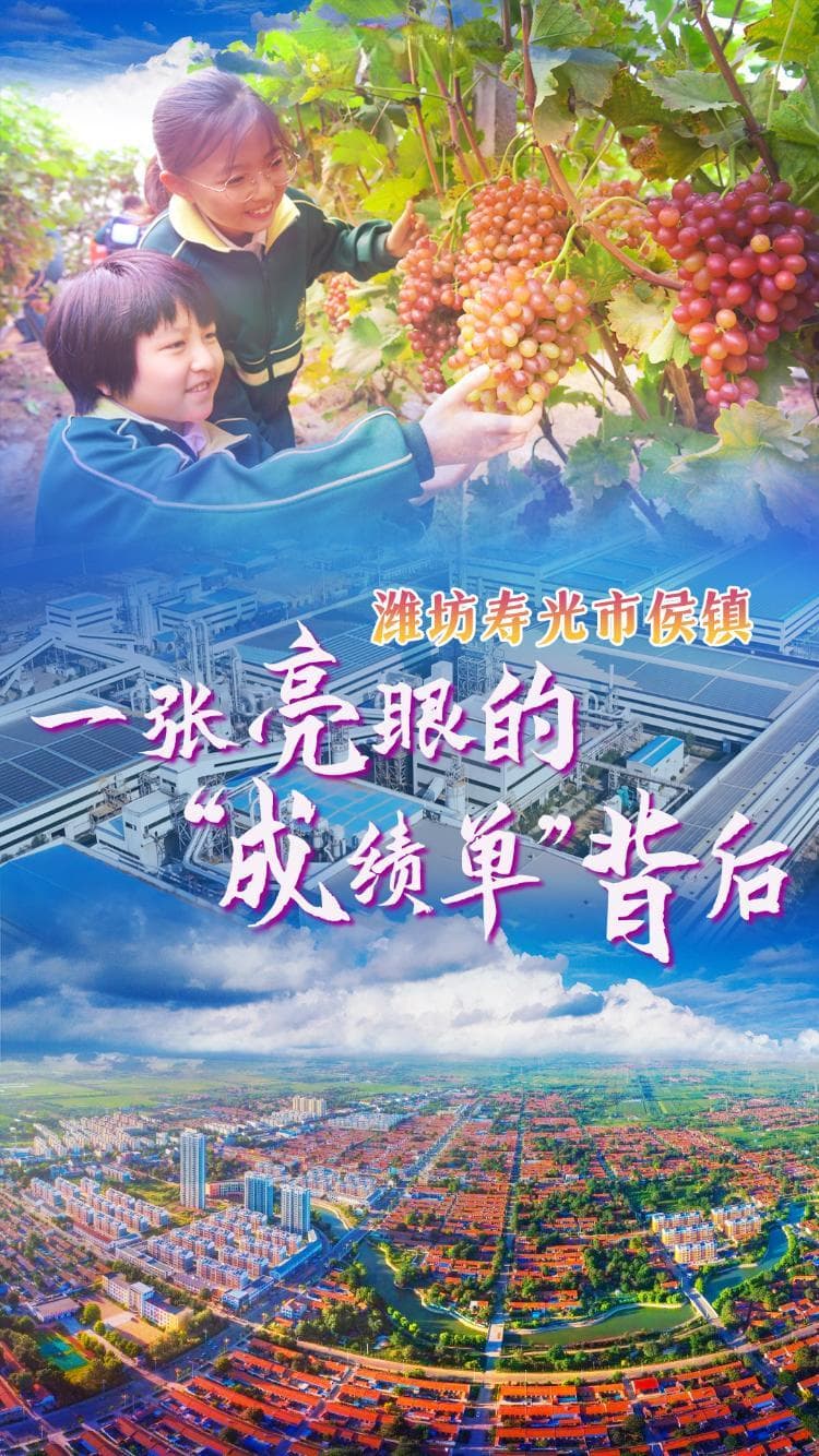 寿光市侯镇：一张亮眼的“成绩单”背后