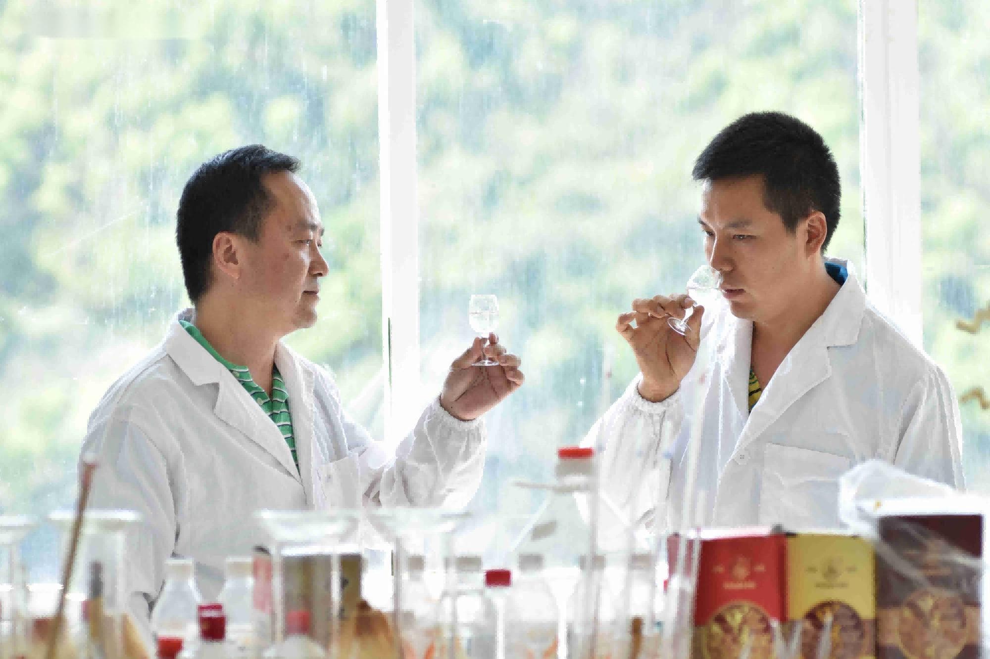 酱香酒文化对整个酒行业的影响