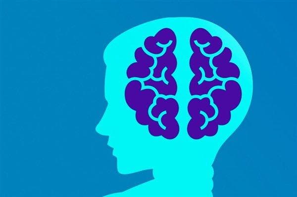 人类大脑决策速度仅为每秒10位，揭示一心多用难因