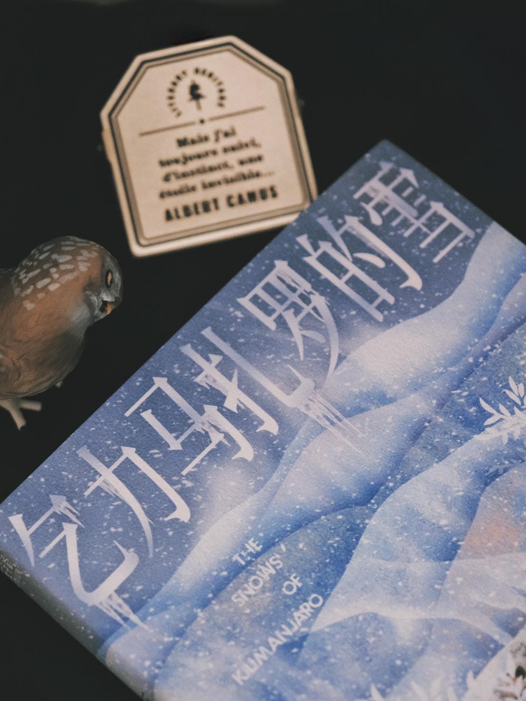 简洁中的深邃，海明威笔下的生命与孤独