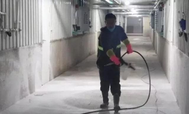 猪场消毒必看：过硫酸氢钾复合盐详解