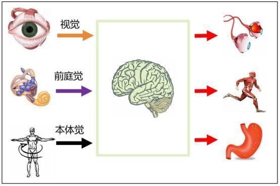 全国爱耳日：关注头晕、眩晕疾病