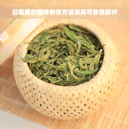 红茶菌的菌种制作方法及其可食性探讨